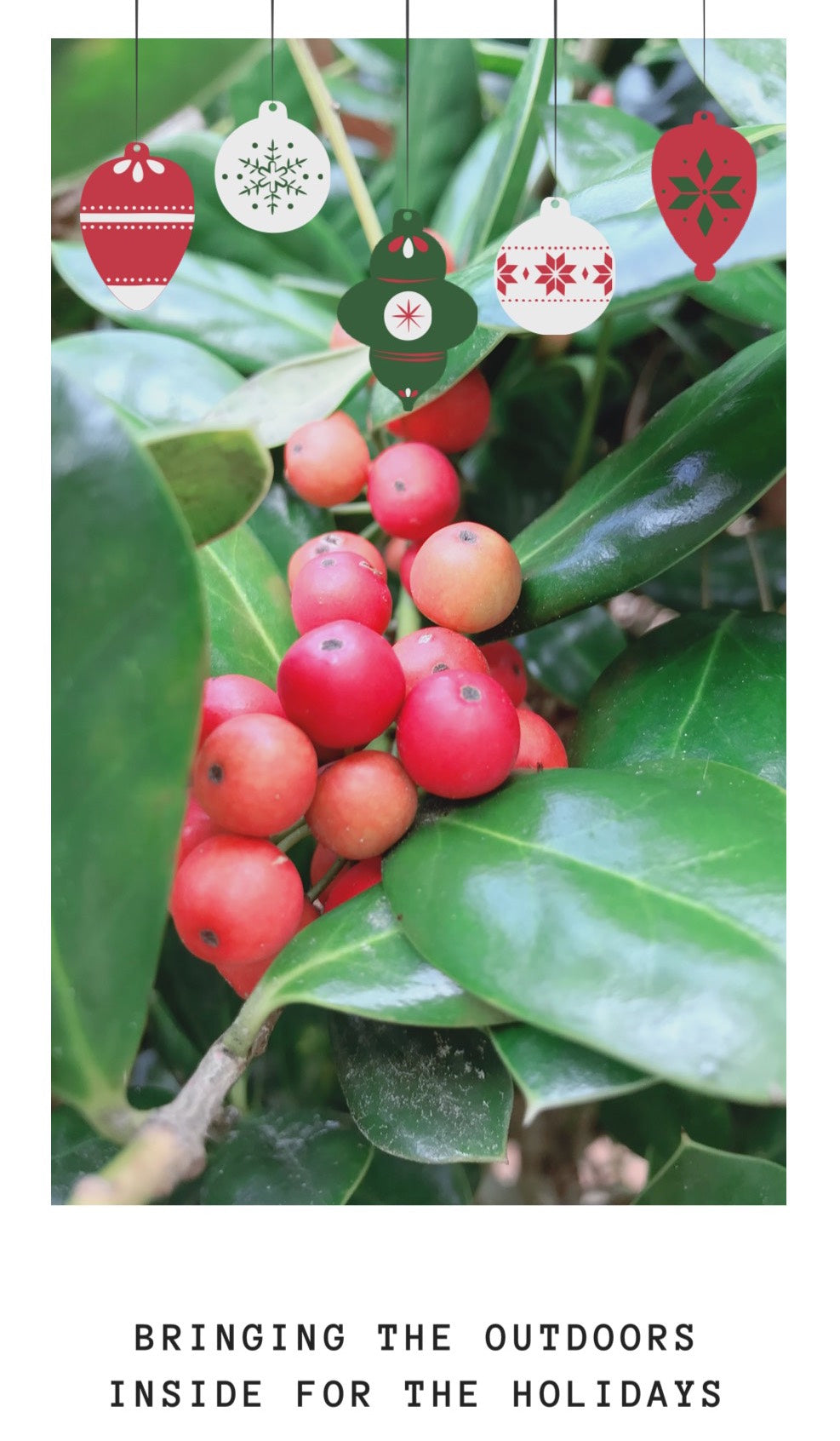 2019 Holiday Tutorial: Bringing Nature Indoors