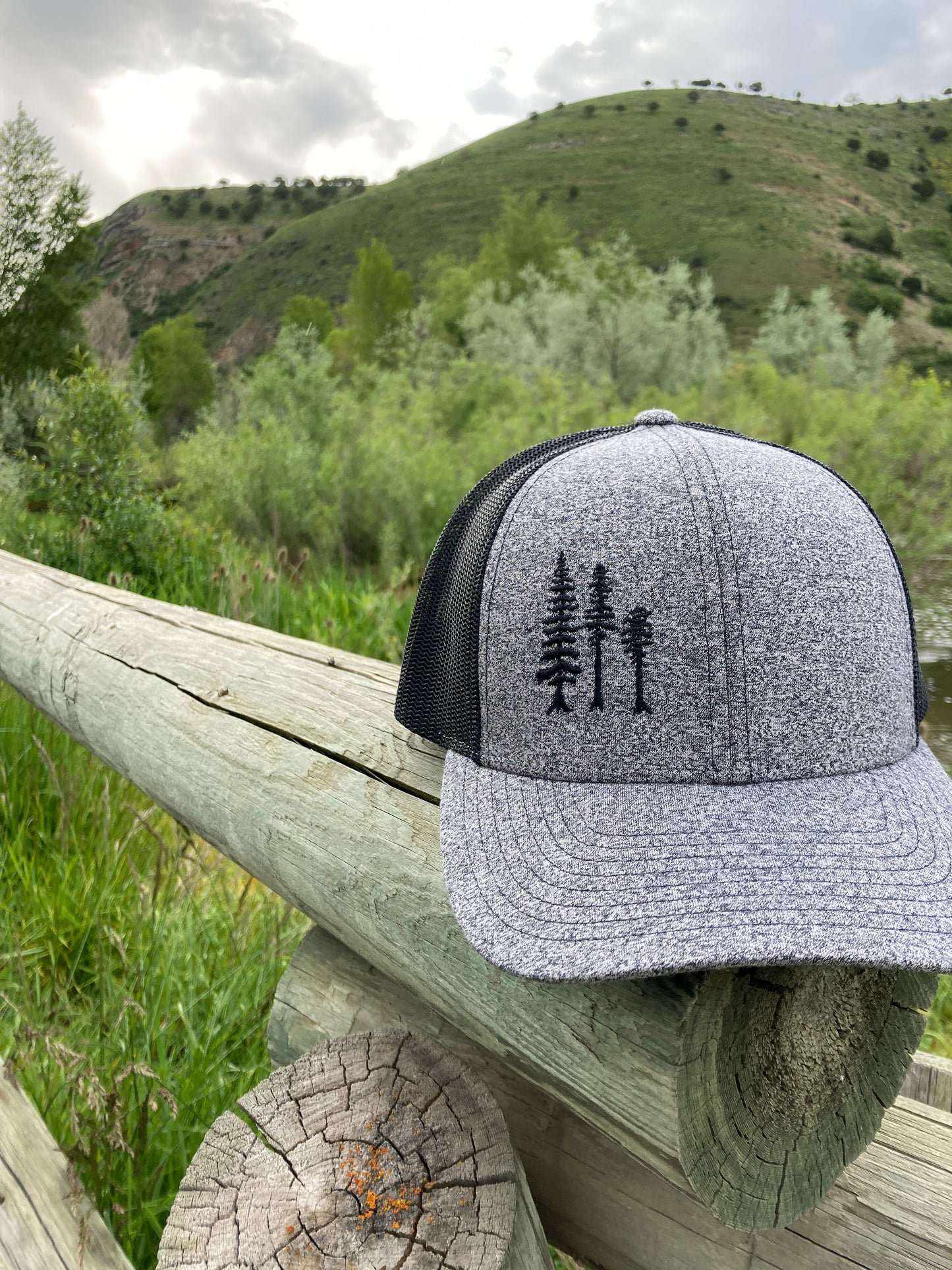 Tall Tall Trees Snapback in Static