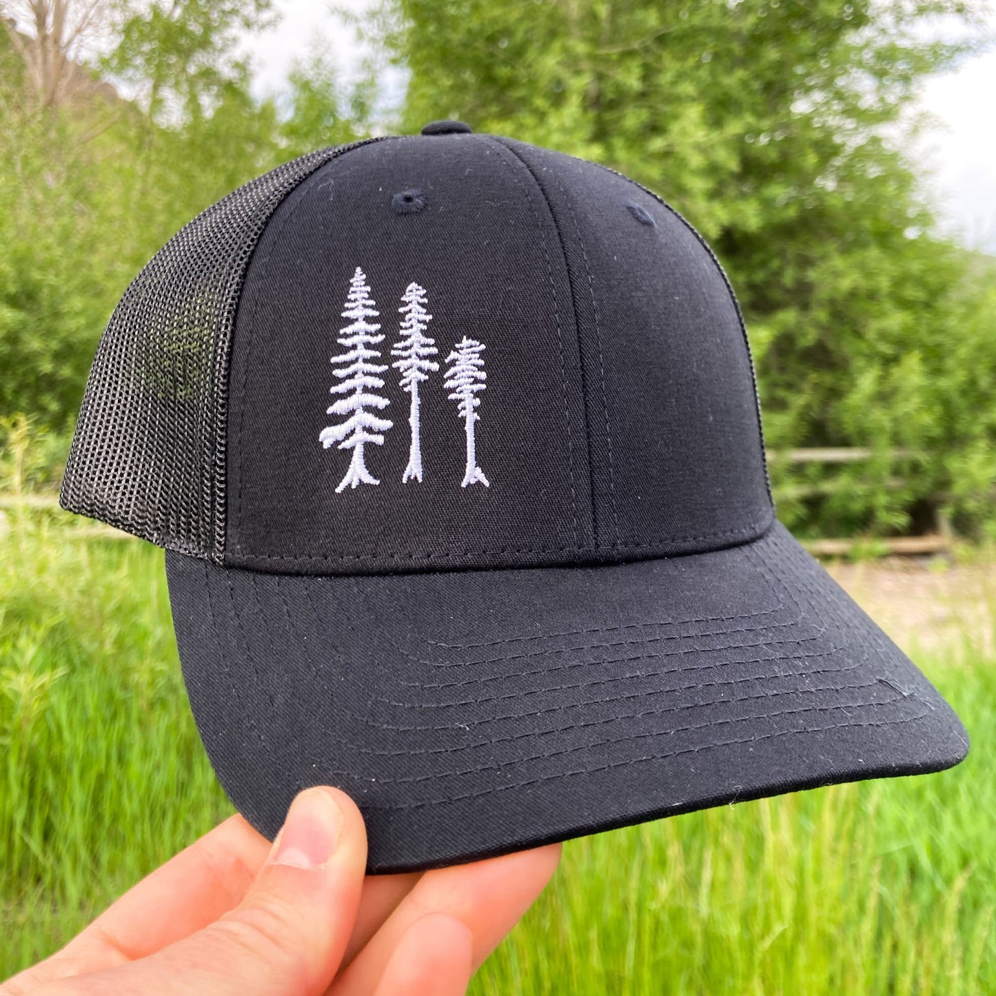 Tall Tall Trees Snapback in Black