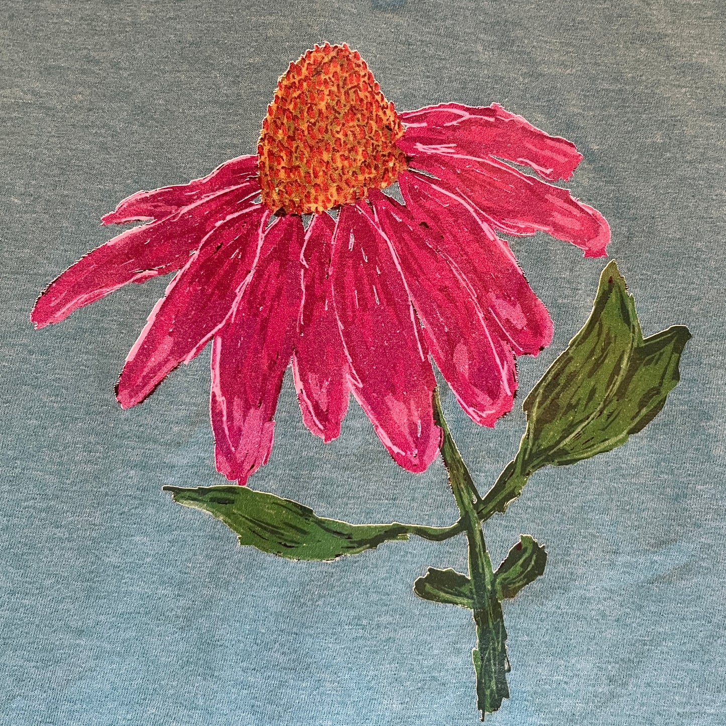 Echinacea Print