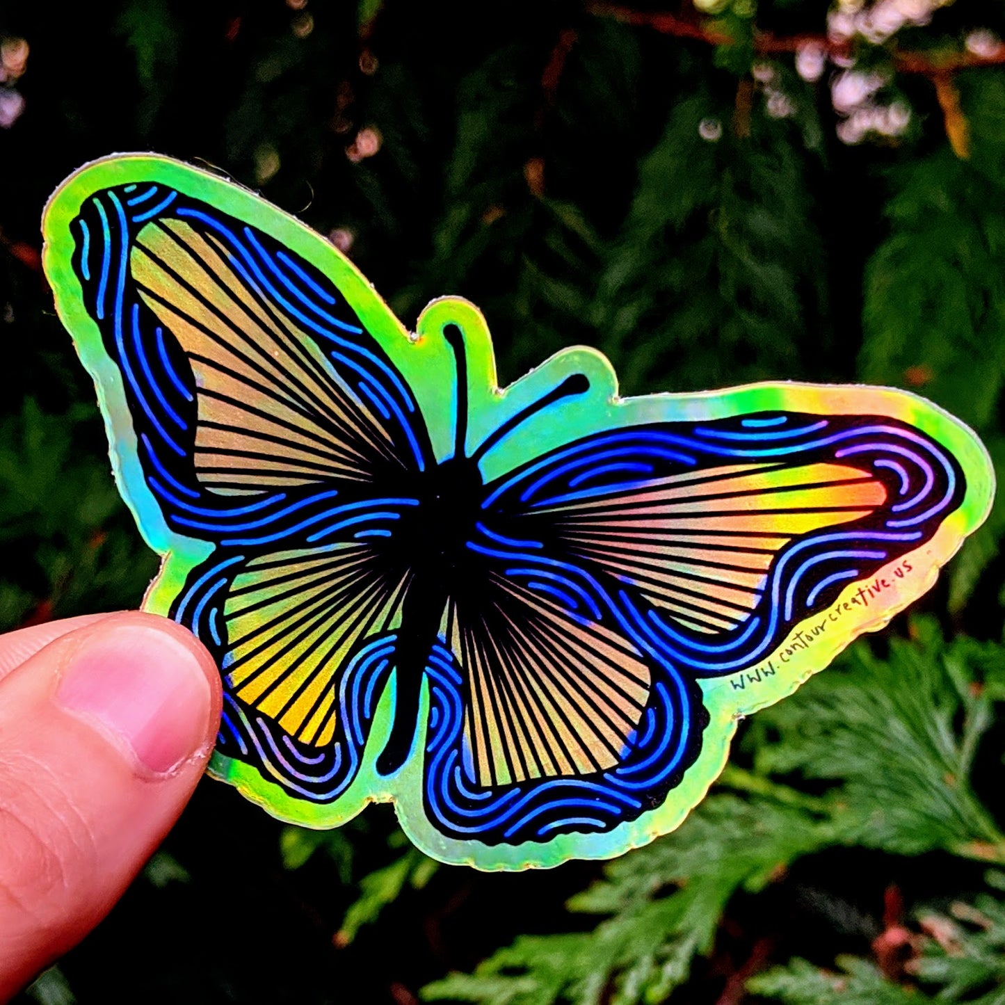 Butterfly Holographic Sticker - Contour Creative